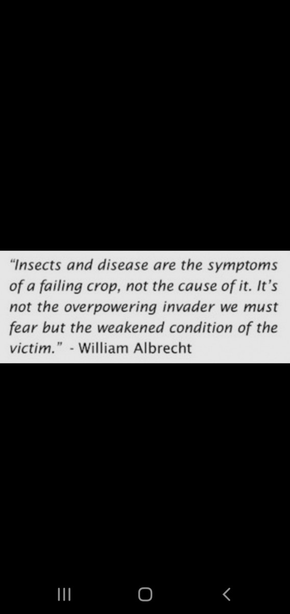 Screenshot_20201023-230834_Gallery