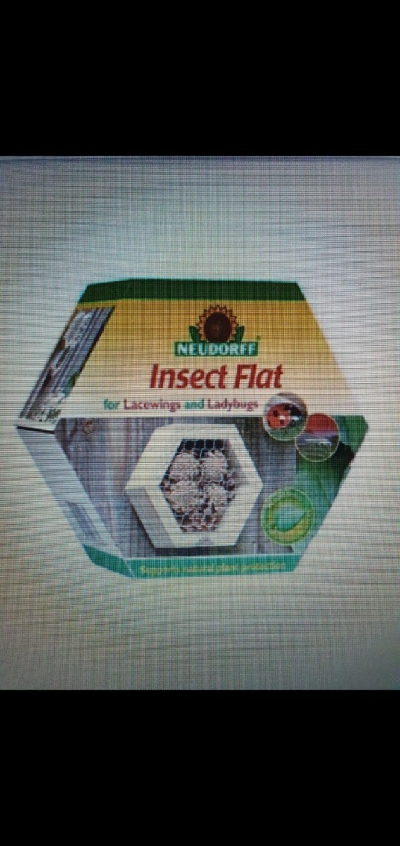 Screenshot_20201024-105709_Gallery