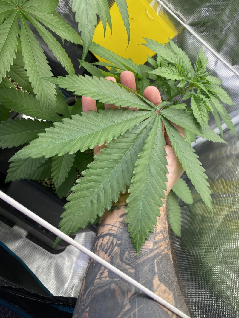 DEDB9D3E-F10F-46D2-8BA4-CD8910CA855B