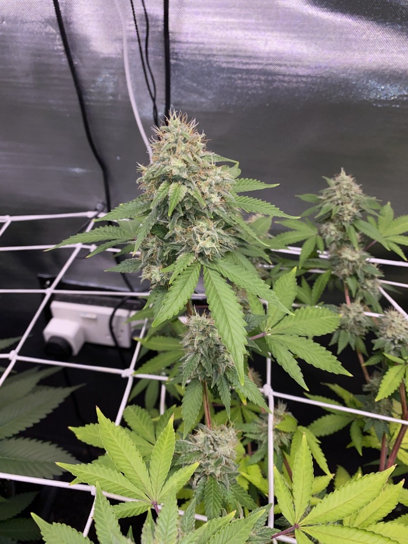 31DC75E1-E45E-46B6-90F9-6299C73A328E