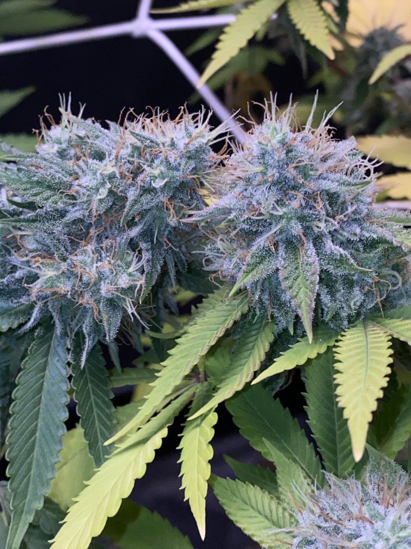 1DCF12B4-1FBD-4B3D-AA87-E6EAB2F41AAE