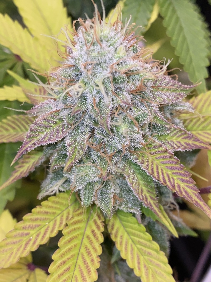 D1483E74-D107-4B9D-80E6-A35504BDF1AA