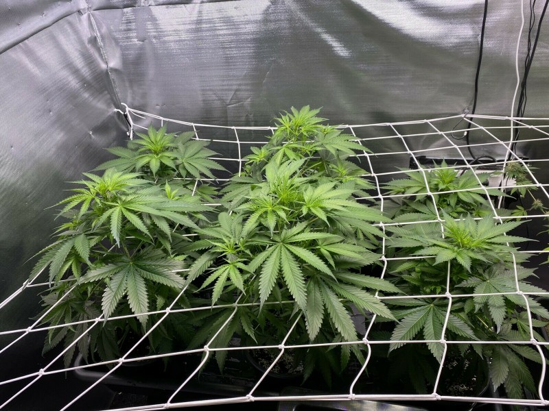 329E1C04-2636-479D-996C-79730060353F