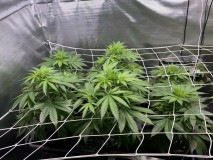 329E1C04-2636-479D-996C-79730060353F