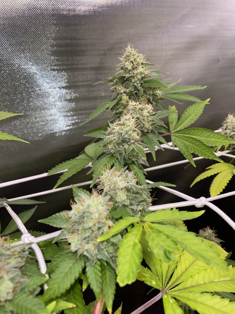 F06B9739-C47E-4902-842C-418F7530513B