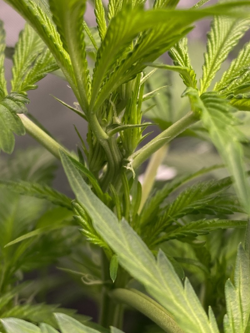 0E218D00-E4F0-47AA-AB3C-2A5A4732A747