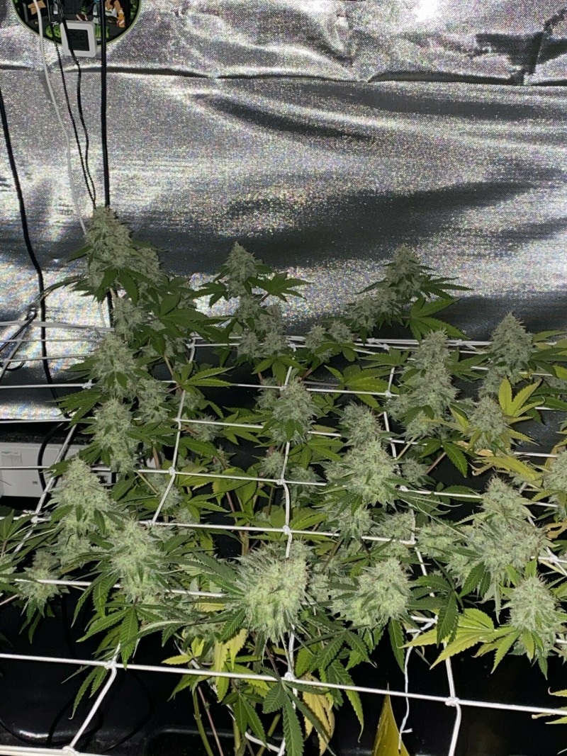 6A92B65A-5367-48DE-AFF1-292222C7DD6A