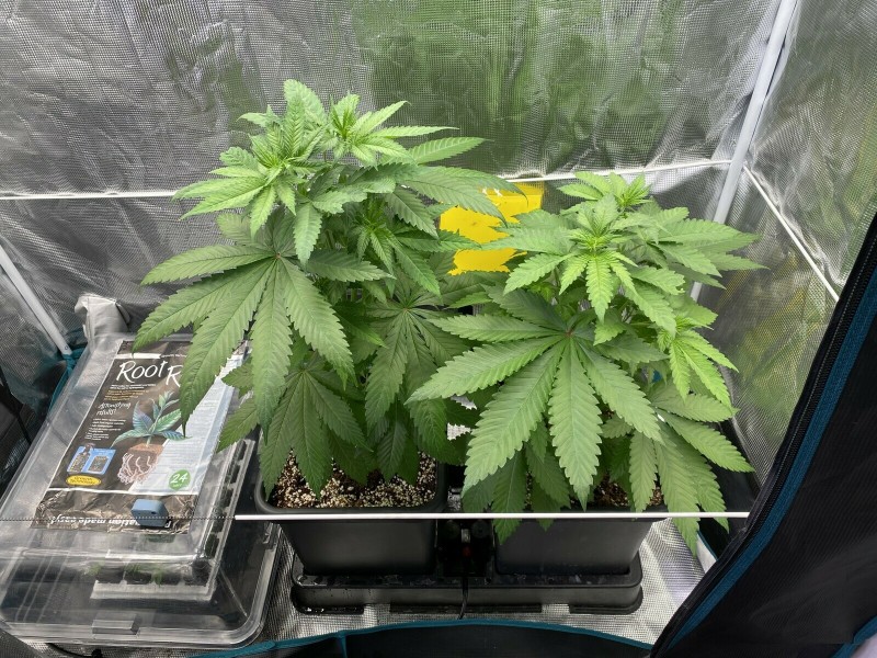 54261C31-325E-4A22-9D28-927FEC1C4DAE