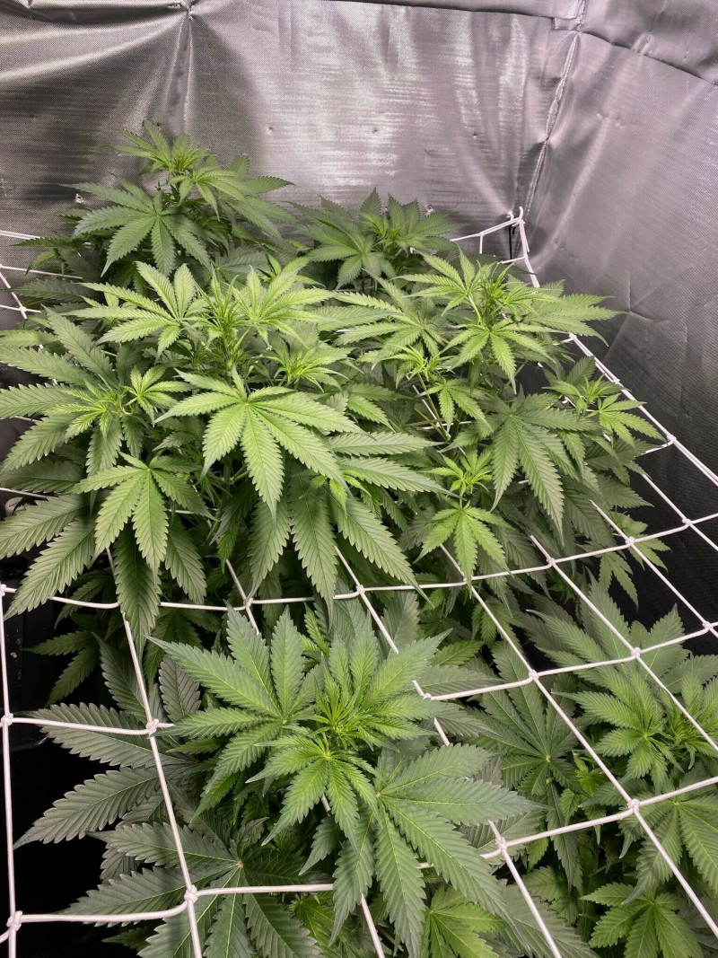 E045D2E3-C908-43C5-AB8F-36BDBED822D4