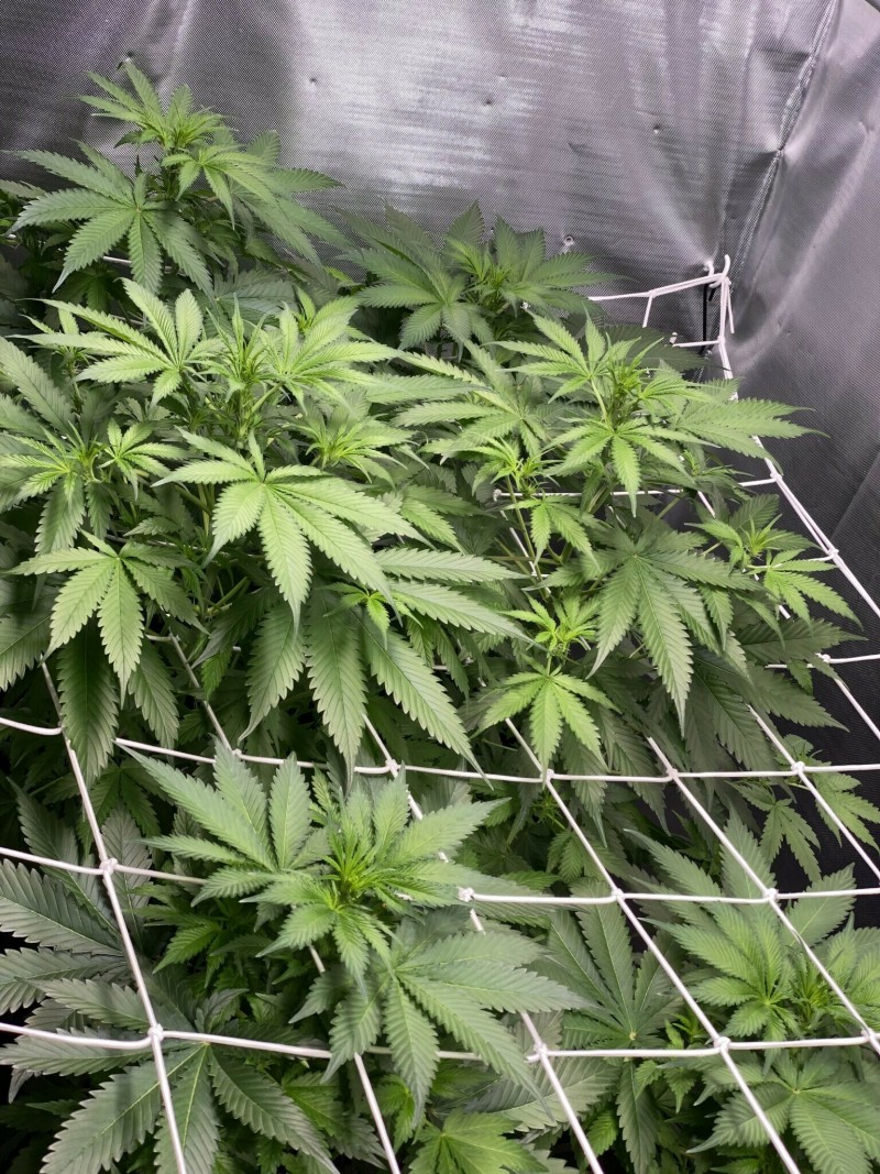 F657031A-A235-4FCD-AEED-B8BCBE9F75FE