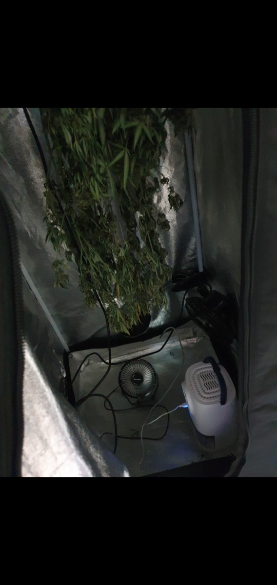 Screenshot_20201028-153833_Gallery