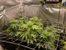 0E48EB71-3F50-4D2D-83ED-67CB44A67211