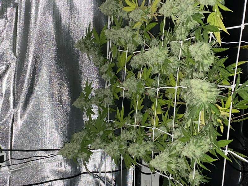 7E9FE3AD-E6FC-425F-A71B-04659A50F24F