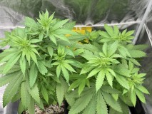 6469D345-1E4C-42D4-A9B4-30FF63CE7FDC