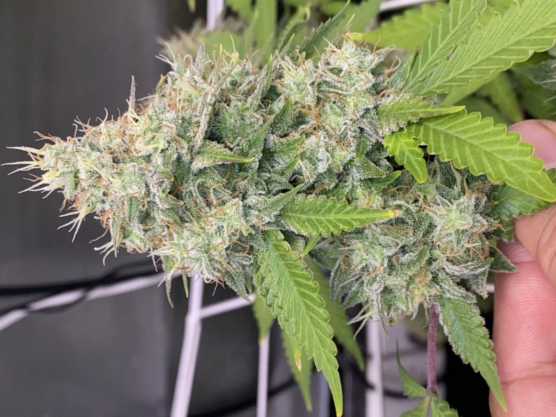 B3C8065D-63D7-4E58-8C6F-EEB76D1CCBB8