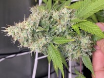 B3C8065D-63D7-4E58-8C6F-EEB76D1CCBB8