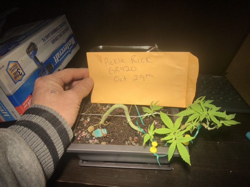 F5C0E5E9-E6AC-46AF-8457-414771932BDC