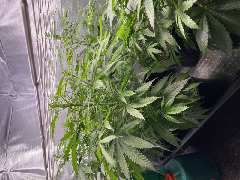 CCBFDC6B-6CE2-477D-8200-E37D37CB785E