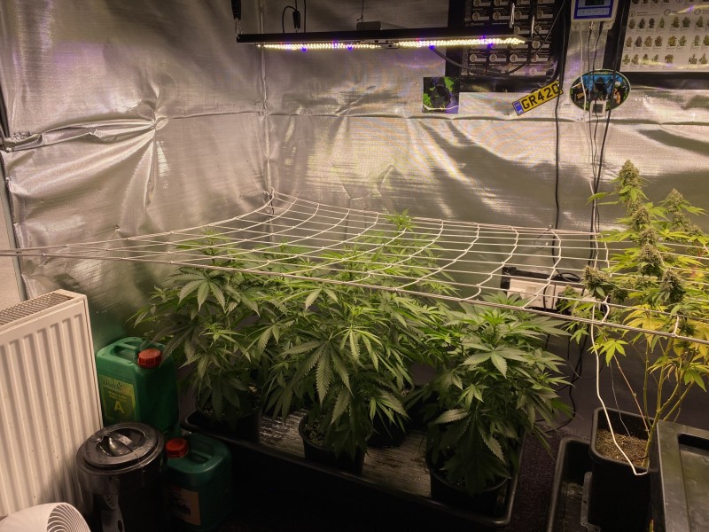 CDDB7954-B65E-4ED4-9709-DEC5BE668FA0