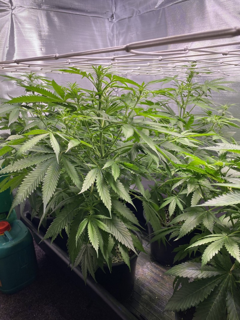 F3DA14E9-652E-4808-B02A-383AE3166592