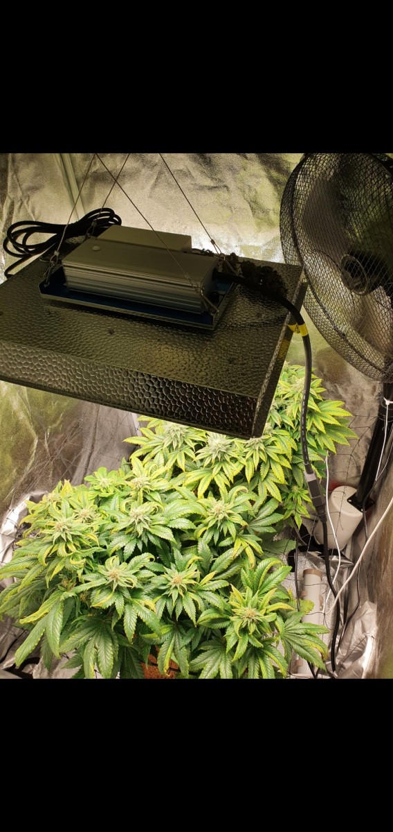 Screenshot_20201030-215523_Gallery