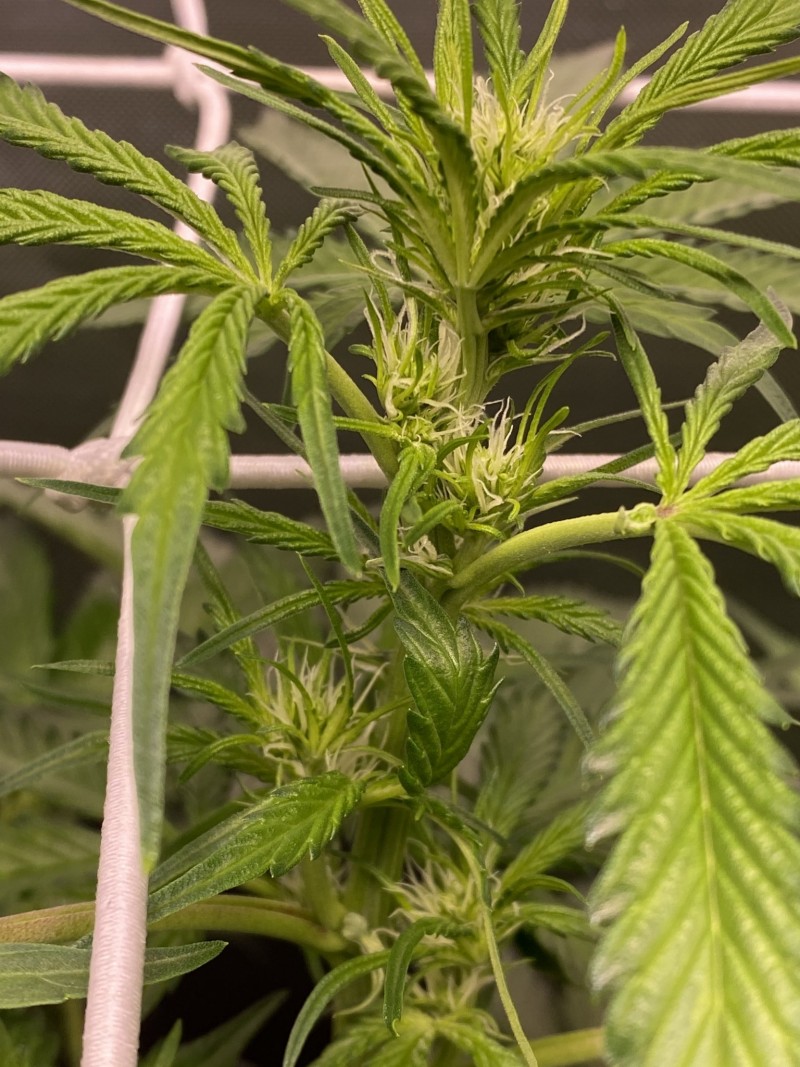 0359635C-1387-40EF-93EA-6CA2238A95C7