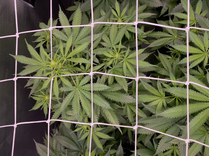 1DF2D8B5-9A4E-4D10-AFE6-9E75280A0C26