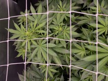 1DF2D8B5-9A4E-4D10-AFE6-9E75280A0C26