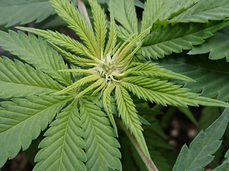 16041568366817808895259934178660