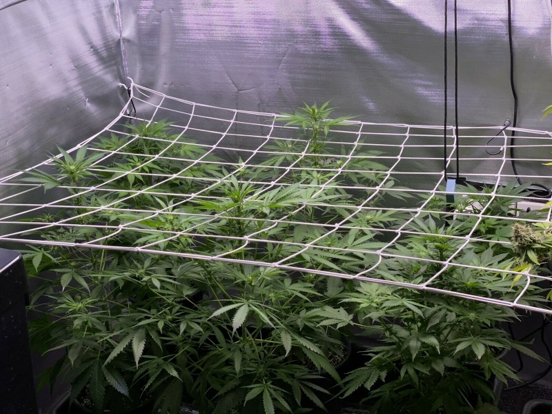 07B1A435-F713-4232-833F-8C1C43463217