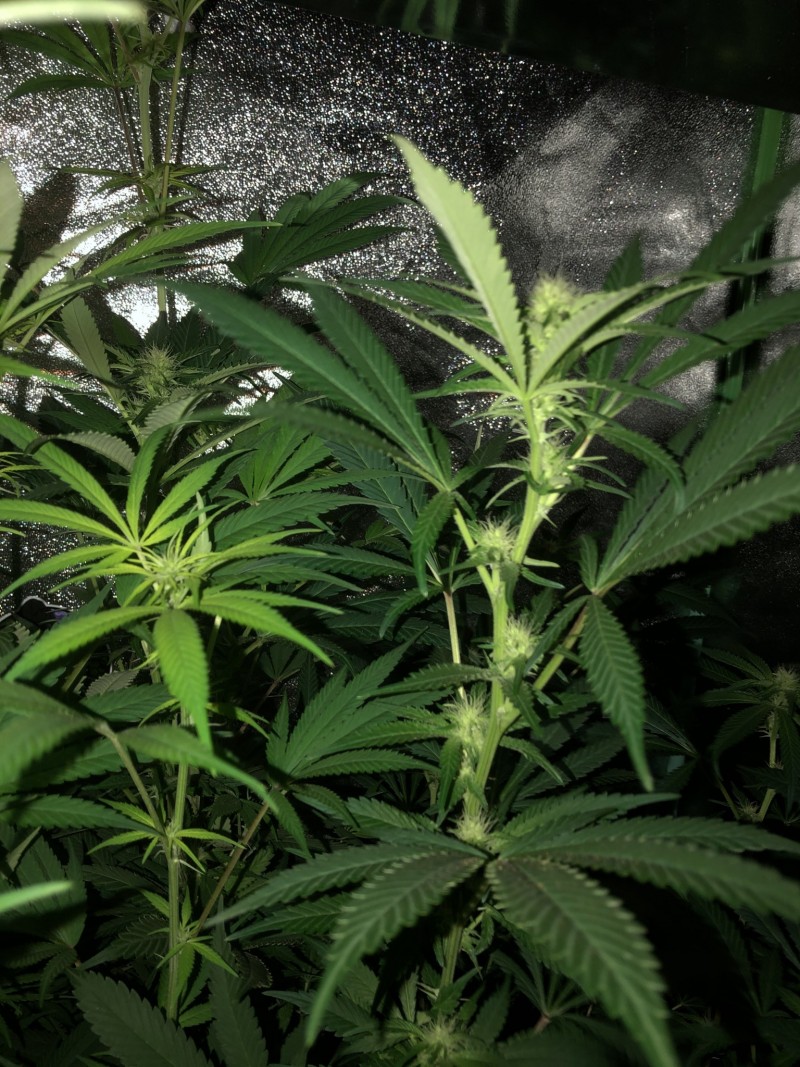 5DAD1CCE-D3F8-42DF-A5ED-053128C3A0CA