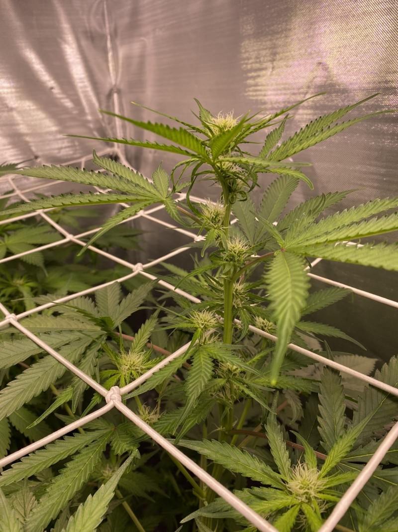 779B1D5B-E37B-4254-BE0B-D796AA033921