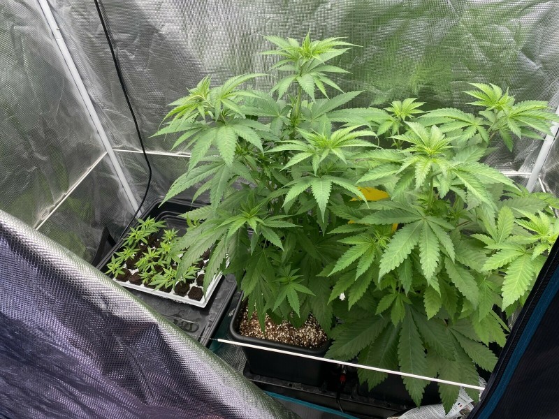 1BB81DED-1C77-4573-A43A-FC94C6E783B8