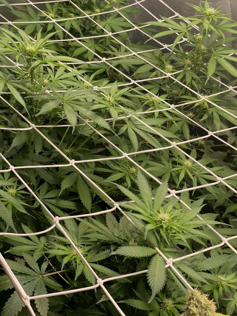 D1AD80EE-B1C9-4654-9D93-93561D467DC9