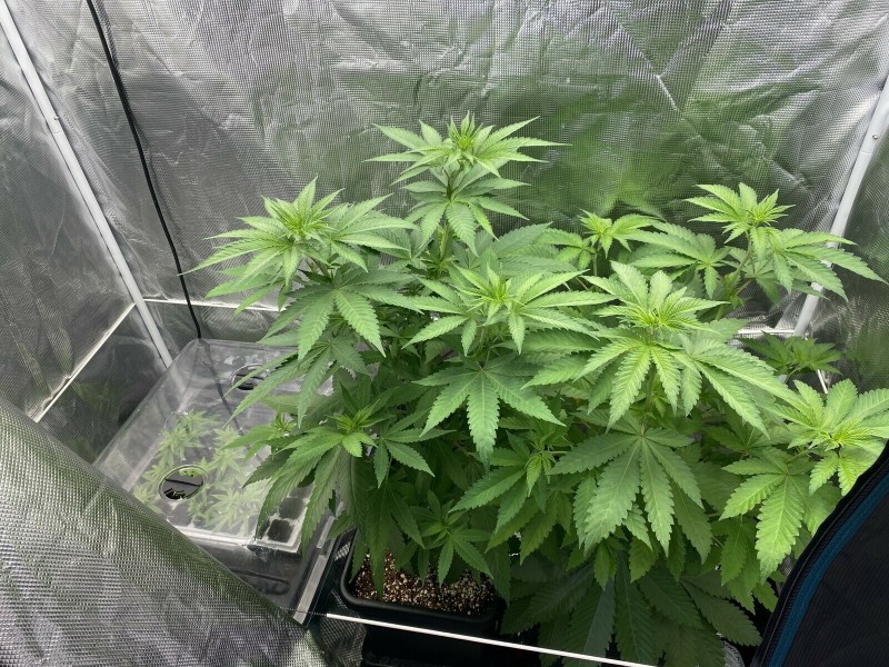 2DCC3E1A-3B9B-4E1B-BFA1-37EA0E987EC7