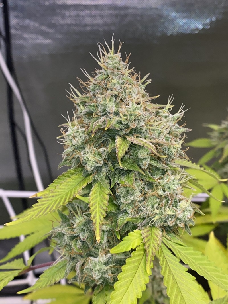 676E6C1E-BBFB-4C34-9174-85A2AC4DC10F