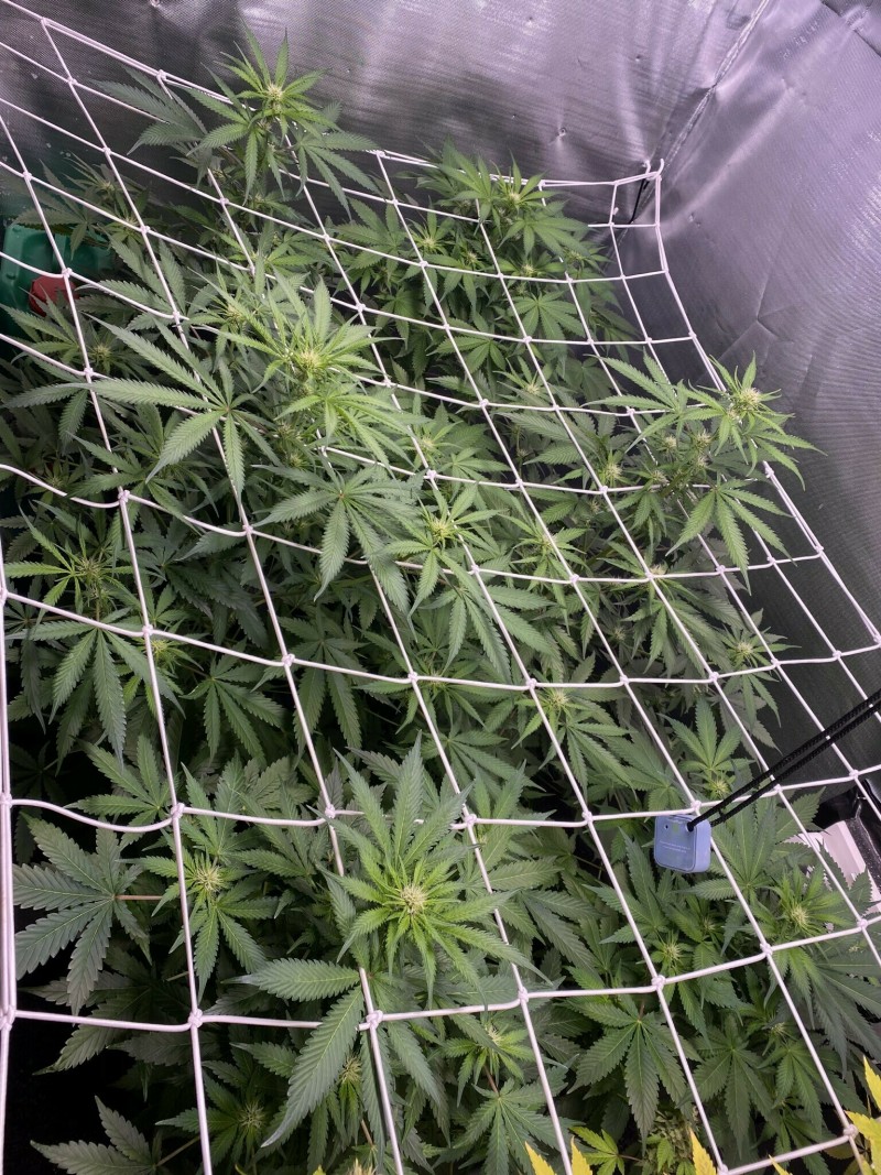 3E89DFED-819B-4232-AB0D-D4BA55BE6FDF