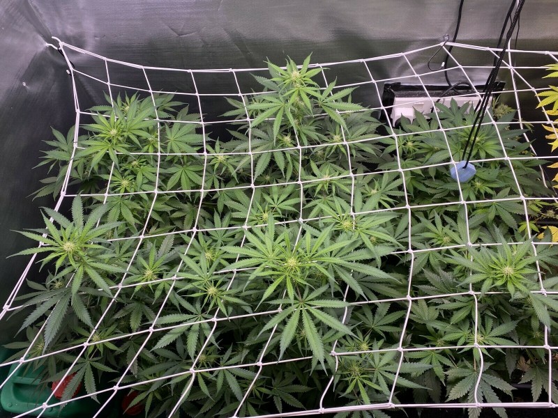 EAAB214E-FE1A-473A-B86B-05F0519469CB