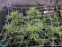 EAAB214E-FE1A-473A-B86B-05F0519469CB