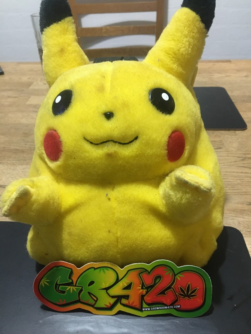 43B9CA4A-7787-4A91-9196-2B0A993CA461