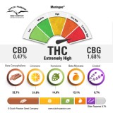 meringue-terpenes-and-cannabinoids-dutch-passion-cannabis-seed-company