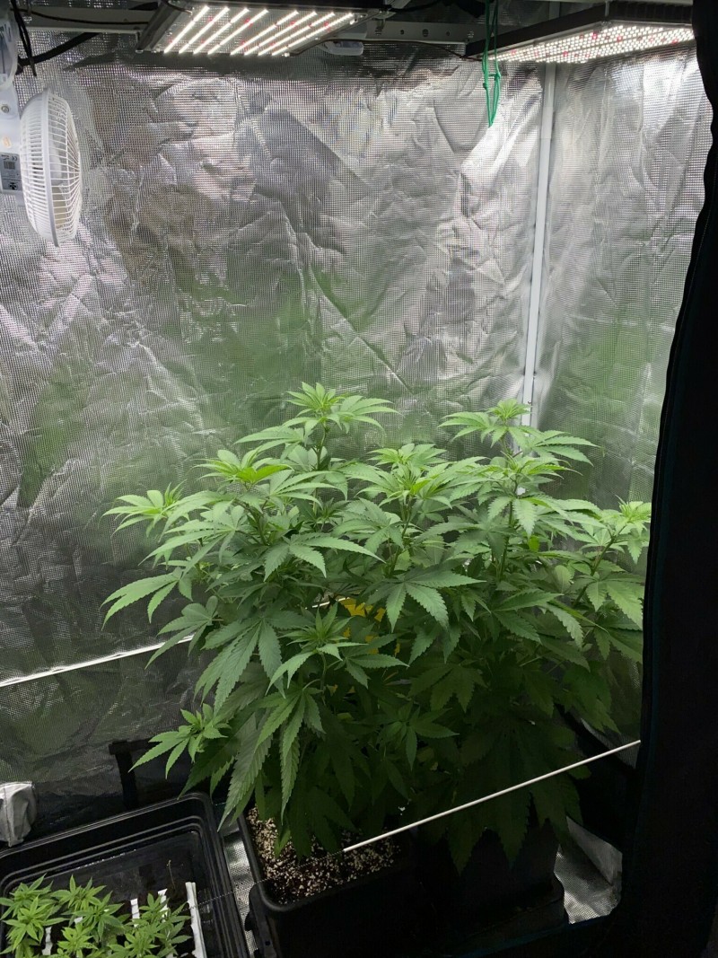 6020E5A3-75D4-4B30-B24A-A4303643BA1B