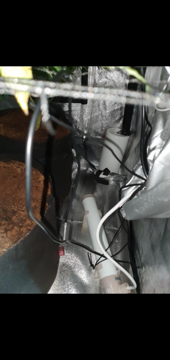 Screenshot_20201106-182803_Gallery