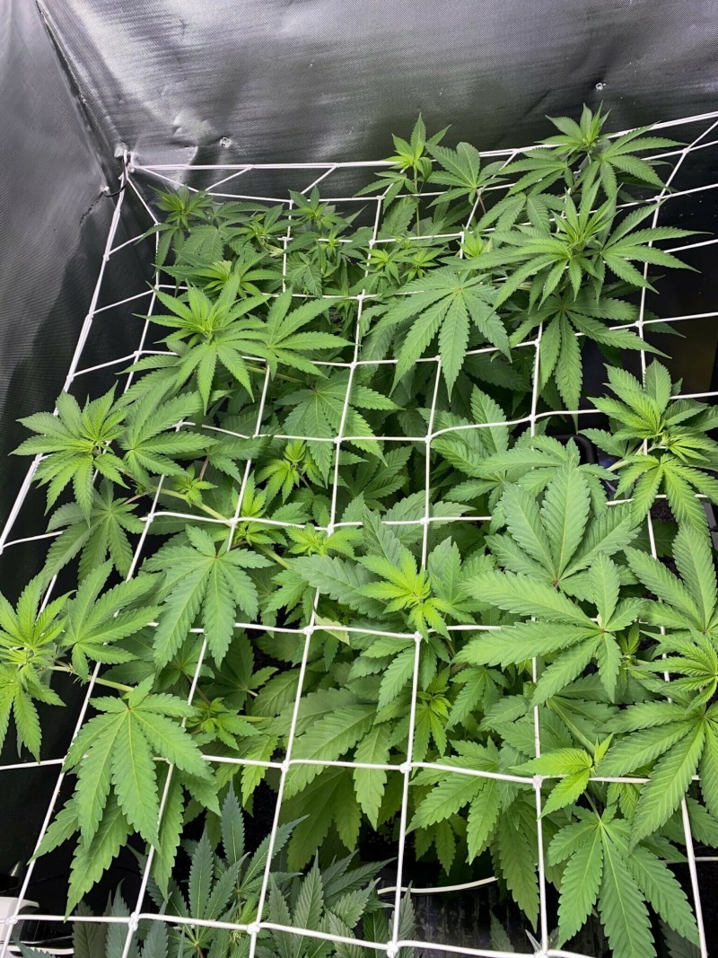 DB12EFCF-D897-4EF1-B6C8-B3DDE8777384