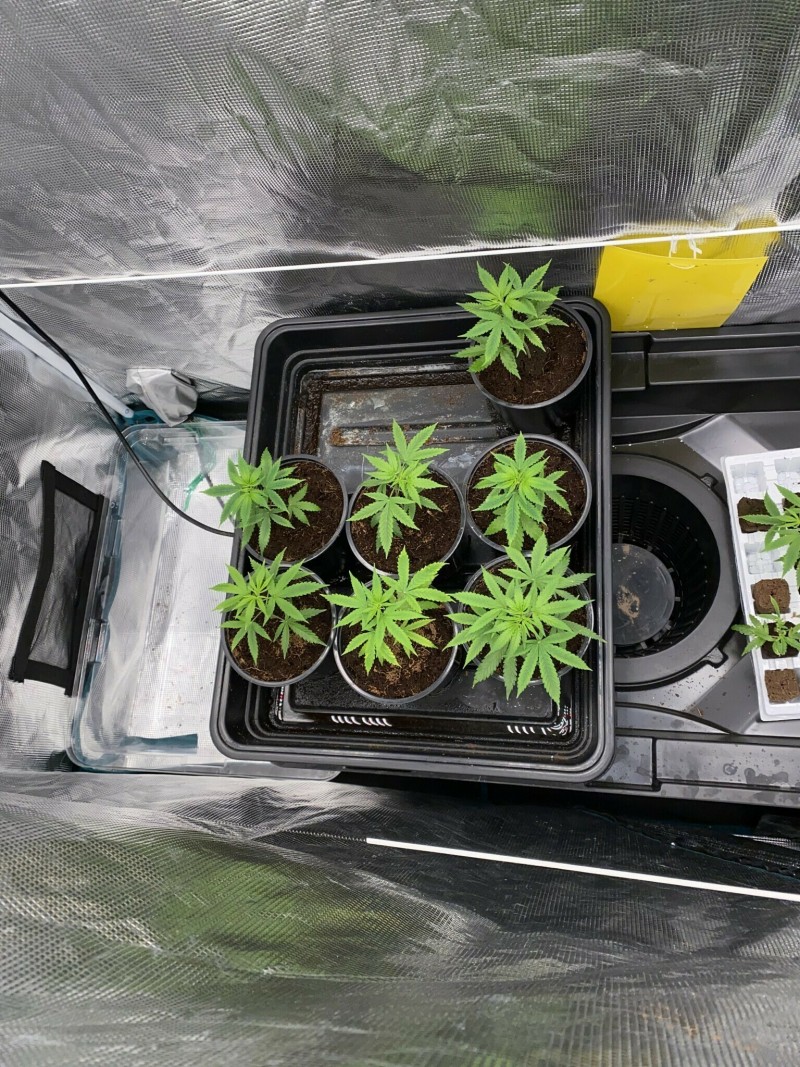 1BE7CDDB-29FD-4265-823E-3722C161A251