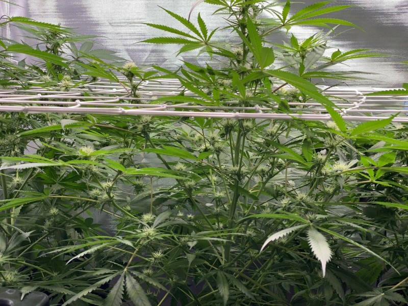 8EE68DA2-58BD-4517-BC8D-B6D502067873