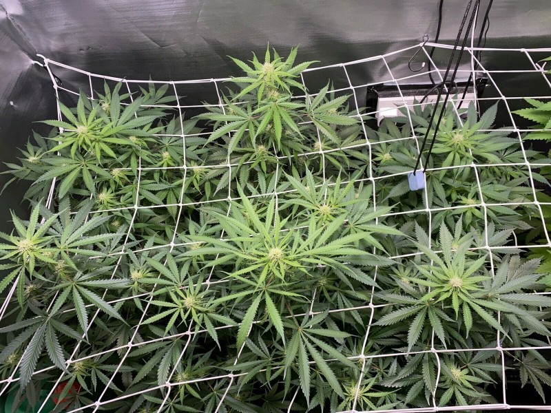 42006287-0B8E-4FF9-A90F-EBEAC6B41B81