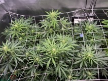 42006287-0B8E-4FF9-A90F-EBEAC6B41B81