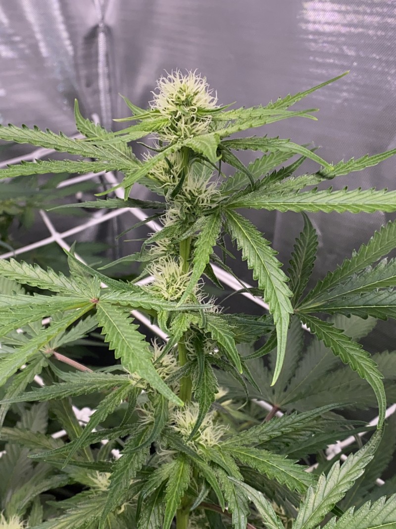 2F98D163-8507-479B-9A07-3AA53B9F1F31