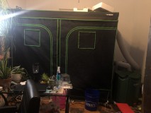 CEA1C003-84C6-4E80-BE21-7D877401FEF2